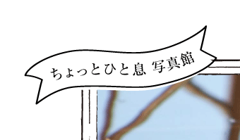 エラーページに、ちょっとした遊び心を。